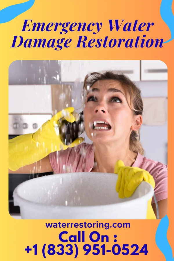Emergency Water Damage Restoration in Brazos Country, TX