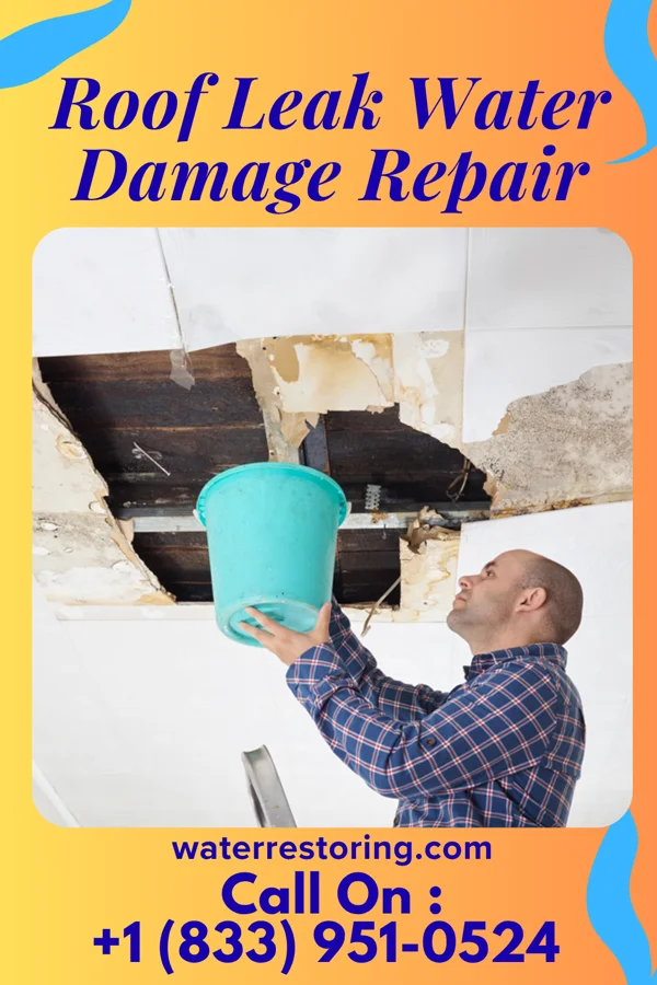 Roof Leak Water Damage Repair in Brazos Country, TX